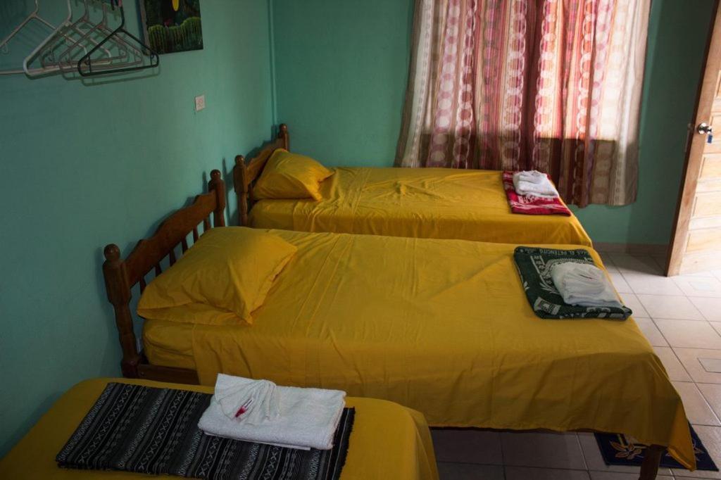 Hilltop Horizon Guesthouse San Ignacio Eksteriør bilde
